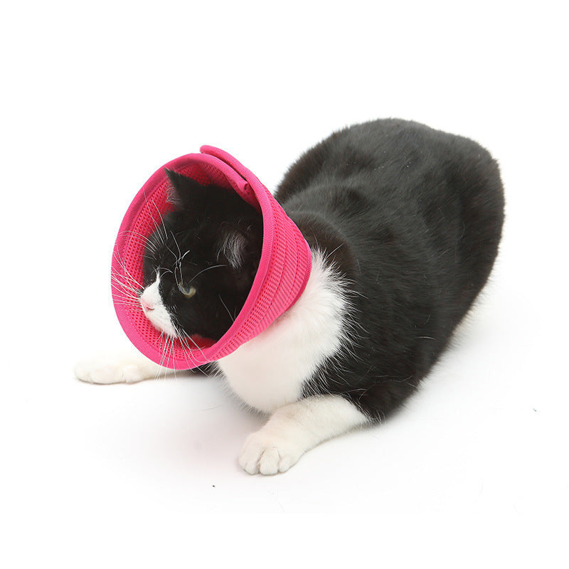 Dog Cat Anti-bite Collar