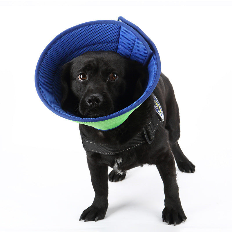 Dog Cat Anti-bite Collar