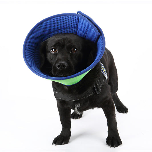 Dog Cat Anti-bite Collar