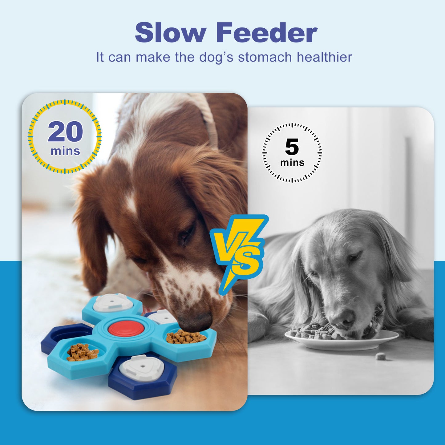 Brain Train | Feed puzzle