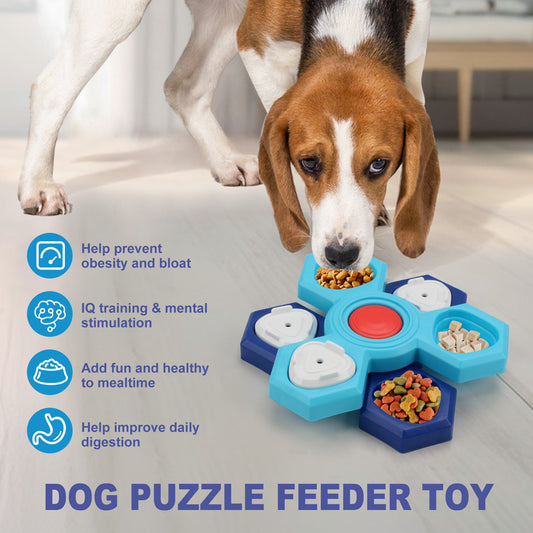 Brain Train | Feed puzzle