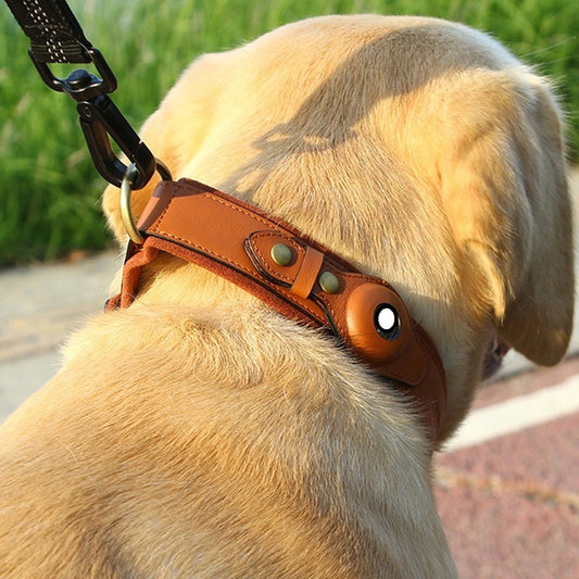 Location Tracker Pet Collar