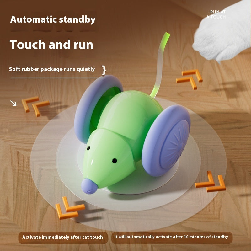 Cat mouse train