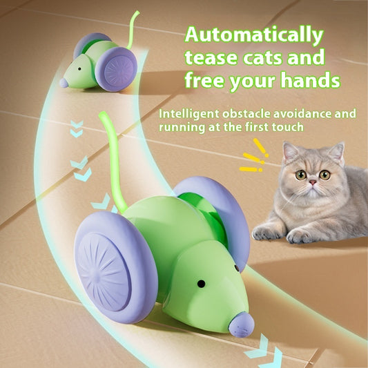 Cat mouse train