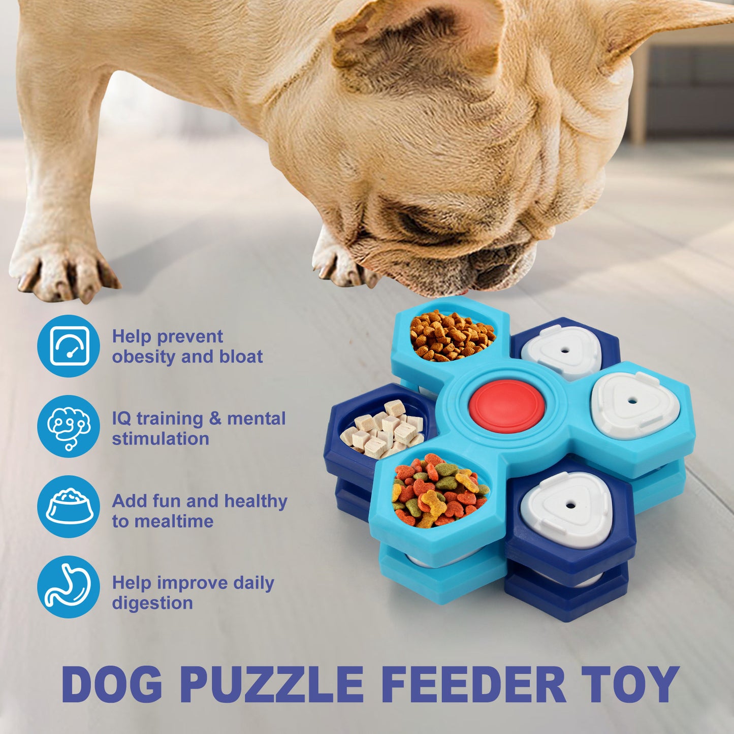 Brain Train | Feed puzzle