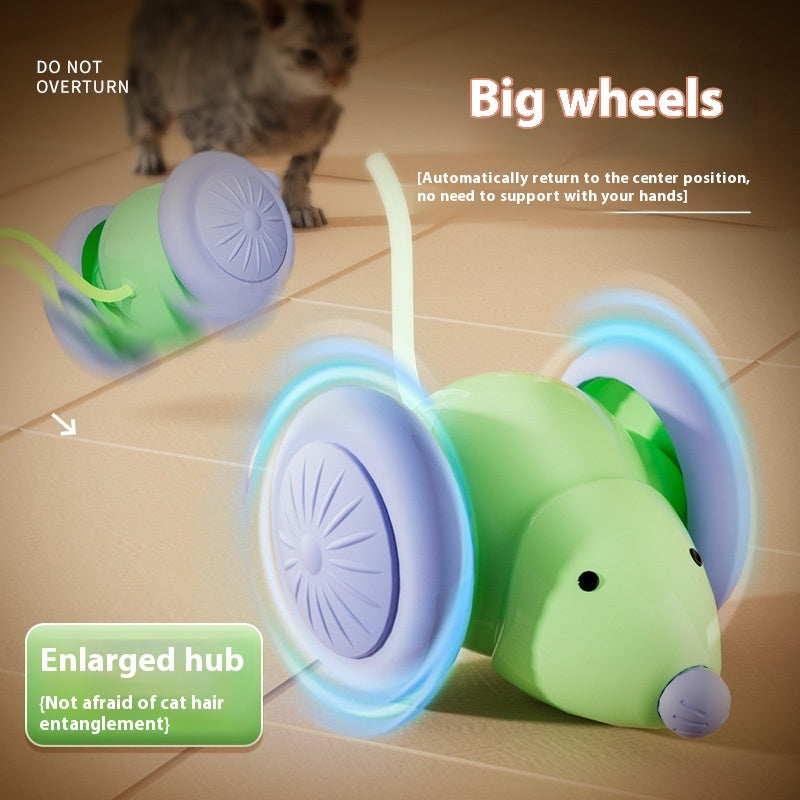 Cat mouse train