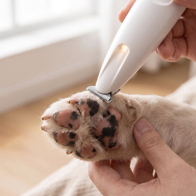 צוות Buba Pets