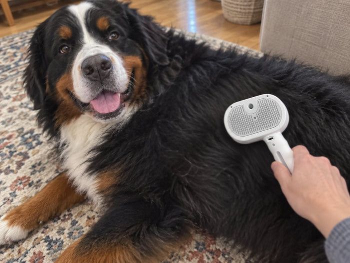 ברנר עם מברשת הערפל