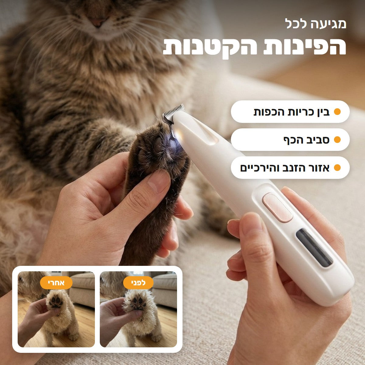 מקצרים את הפרווה בכף של חתול: בין הכריות, סביב הכף ובאזור הזנב