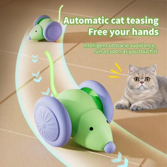 Cat mouse train